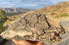 8.13 lb desert rock morongo valley california - massive picture