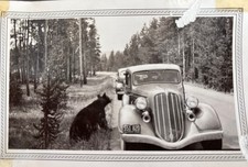 “My Western Trip” National Park 1940 Travel Journal with Postcards & Photos picture