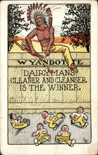 Wyandotte Cleaner and Cleanser Advertising c1900s-10s Vintage Postcard picture