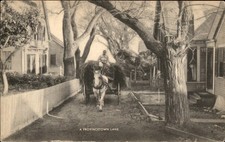 Provincetown MA Provincetown Lane Town Crier Shop c1900s-10s Vintage Postcard picture