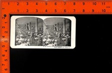 Stereoview Sears Roebuck Co Chicago Office Writing Letters to Customers picture