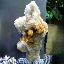 11.6LB Top Natural Clear Quartz Chrysanthemum Crystal Cluster Point Healing picture