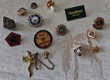 Vintage Education Fraternal Lapel Pins Lot Of 13 Corvette Club, Lions, Assorted  picture