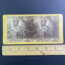 Waterfall Stereoview S.F. Adams New Bedford Mass. 1870s Landscape picture