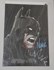Eddie Nunez Shadow Rain Signed W/COA Absolute Batman Art Print 7x10 LMTD 42/50 picture
