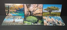 6 Postcards of Trees Ireland Spain Italy Switzerland Japan Germany 4.25