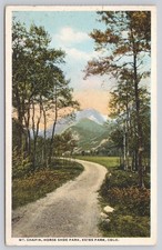 Vintage MT. CHAPIN Horseshoe Park Estes Park CO Rocky Mountain Postcard picture