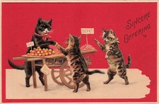 Anthropomorphic Tabby Kittens Cats Fantasy Embossed Vtg Postcard J11 picture