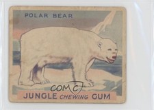 1930 World Wide Gum Jungle Gum R78 Polar Bear #45 04le picture