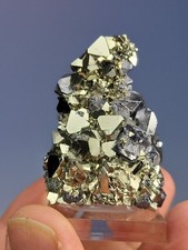 Pyrite w Galena. Mina Recuerdo, Peru. Sharp, Lustrous Xtals. picture