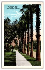 St. Charles Ave Showing Palms New Orleans Louisiana SIdewalk Cloud Road picture