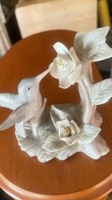 Hummingbird picture