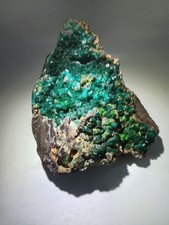 Dioptase. Large cabinet size dioptase crystals picture