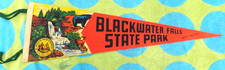 VINTAGE BLACKWATER FALLS STATE PARK PENNANT BANNER FLAG 25