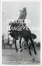 Eastman RPPC-Rodeo-Bucking Horse-Red Bluff-Ca? -California-Vintage Postcard picture