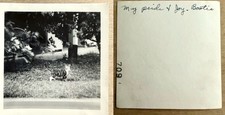 Vintage 1950s Kitty Cat Pet Posing Photo Snapshot “My Pride And Joy Bootie” picture