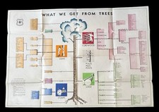 Vintage 1946 USDA Poster “What We Get From Trees” M-5293 Forest  Service 1st Ed picture