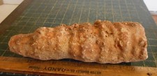 Kokoweef Stalactite Piece. Cave Onyx. San Bernardino County River of Gold 5