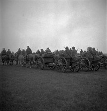Defilee of the Thurgau Field Artillery Dept 21 Frauenfeld 1949 Old Photo 3 picture