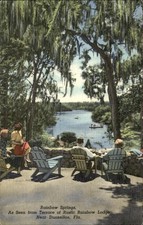 Rainbow Springs Florida Rustic Rainbow Lodge Terrace c1930-50s Vintage Postcard picture