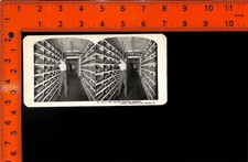 Stereoview Sears Roebuck Talking Machine Records Chicago Warehouse Print picture