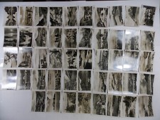 Senior Service Cigarette Cards Beautiful Scotland 139 Complete Set 48 picture
