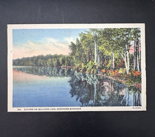 Vintage 1948 Postcard AUTUMN ON WALLOON LAKE N MICH POSTED ¢1 STAMP CURTEICH picture