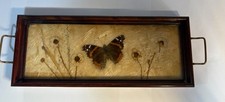 Real Butterfly Dried Flower Decorative Tray - Framed Botanical Display (11.5