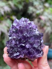 Amethyst Rosette Stalactite Cluster Uruguayan 237g 8 AAA+ Deep Purple picture