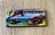 Two Sided Buc-ee's Souvenir Tennessee Magnet - Metallic- Beaver Believer - New picture