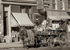 1936 BRONX GROCERY STORE Behind Horse Drawn Carriage 5x7 Borderless PHOTO picture