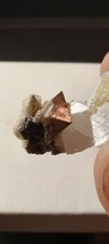 Scheelite on quartz & dolomite specimen Yaogangxian Mine, China picture