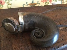 Antique Scottish Snuff Horn c. 1845 THISTLE SILVER MOUNTED RAMS HORN SNUFF MULL picture