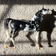 “Araba”Breyer BreyerFest 2023 Black & White Pinto Plastic Model Horse Figurine picture