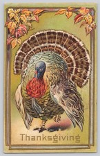Thanksgiving Turkey Postcard Embossed c1908 Divided Back picture