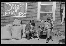 Sikeston Missouri 1938 Boys at Auction Pavilion Tankage for Sale Sign picture