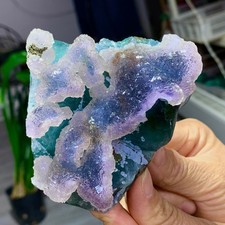 442G Natural transparent purple cubic fluorite Crystal mineral sample picture