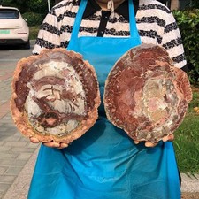 7.04LB 2pcs Natural Petrified Wood Crystal Fossil Slice Shape Specimen Healing picture