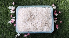 dentalium shells 5 kg - 11.02 Lbs. picture