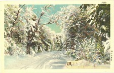 Winter Scene Snow Covered Road Trees Linen Postcard 1938 Curt Teich Unused picture