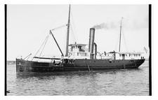 Great Lakes USLHS Sumac Standard Postcard picture