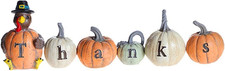 Thanksgiving Decorations Hand-Painted Turkey Pumpkin picture