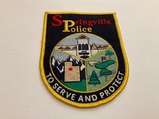 Springville Police State Utah UT Colorful picture