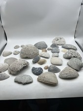 Vintage Sea Shell Collection Lot Beach Decor Crafts picture