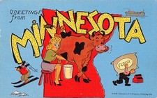 1950 Minnesota MN Greetings From Large Letter 14652-C.M.28 Postcard picture