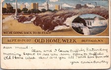 Old Home Week - Buffalo NY 1907 - Bison, Niagara Falls - Posted Aug 1907 (E1) picture
