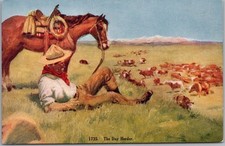 c1910s Cowboy / Western Postcard 