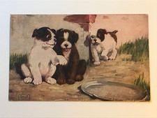 Postcard Puppies Dogs Playing Mischief 