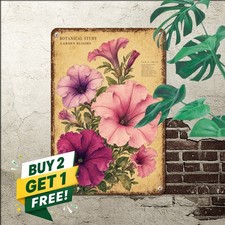 vintage botanical flower illustration pink purple petunia cluster picture