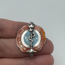 Rare 1884 Womens Health Protective Association Pin New York City Sterling Silver picture